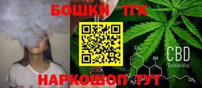 дмт Новокубанск