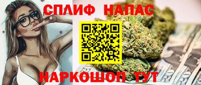 соль ск Новодвинск